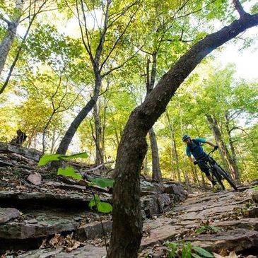 fayetteville activities